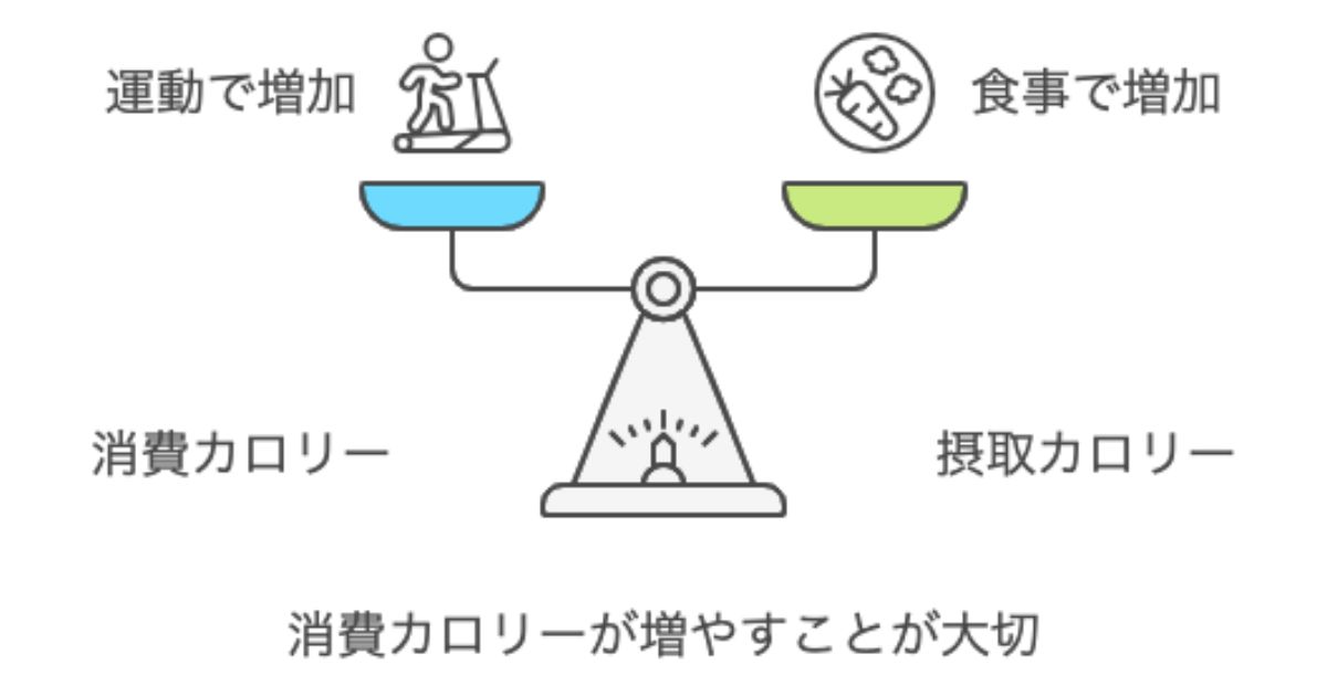 ダイエットの基礎知識