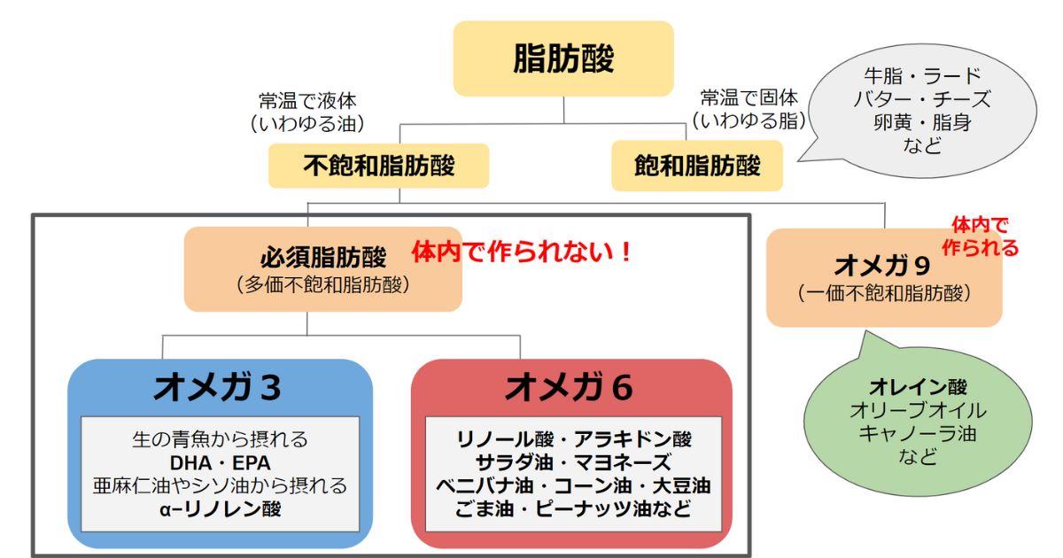 オメガ3とオメガ6のバランスが重要

画像引用：輝整骨院